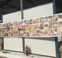 Doamna şi vagabonzii