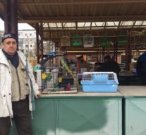 Tată de papagali încă din comunism