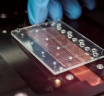 „Degustătorul” cibernetic ne ferește de otravă