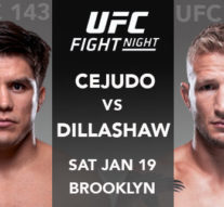 O divizie blestemată