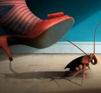 Universitățile fac dezinsecția la fără frecvență