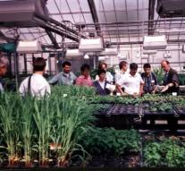 Burse doctorale la USAMV