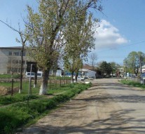 În Todireni, găinăriile și-au găsit casă în marginea comunei
