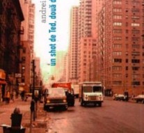 Stări ale întîmplării în alb