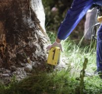 Misteriosul sfîrșit al unui pion din dosarul Hexi