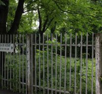 Un popor s-a înecat în urnă