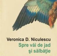 Cușca din coperți a jocului