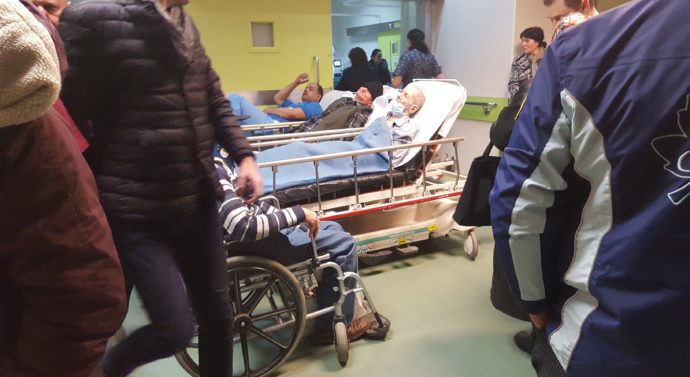 La „Spiridon”, împarţi targa cu colegul de hol