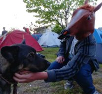 Vecinii din cortul de lîngă