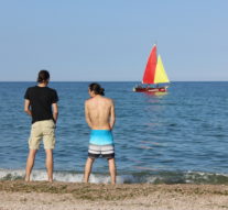 Ghid de supraviețuire în Vamă